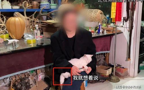 说事爆料女博主视频在线观看,视频在线观看背后的故事